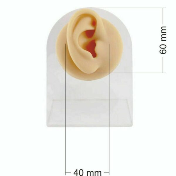 Orecchio Sinistro In Silicone