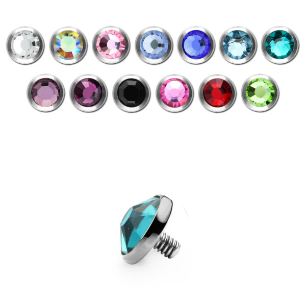 S Dermal - Top Microdermal