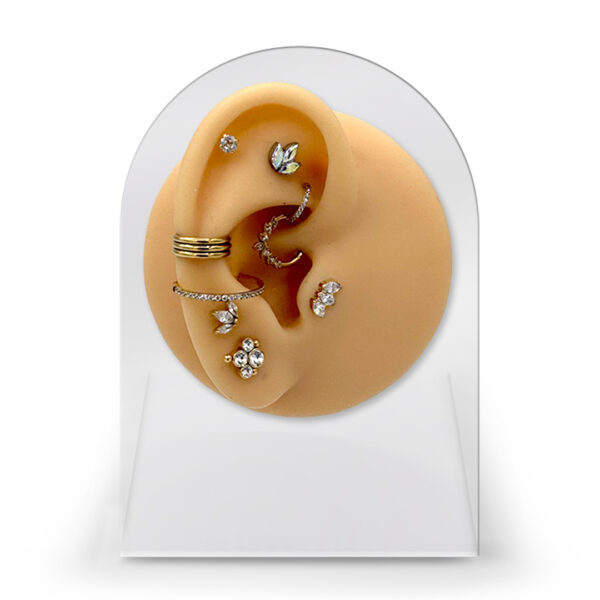 Bundle Piercing Professionale